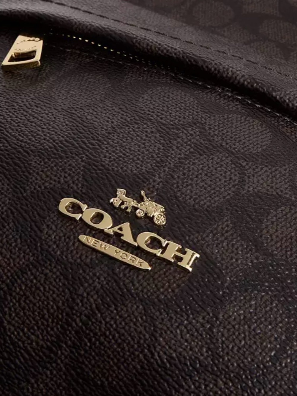 Coach Taylor Backpack In Signature Canvas - Picture 3 of 6